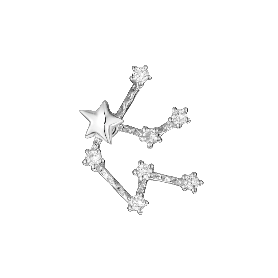 Zodiac Stud Earring - Aquarius