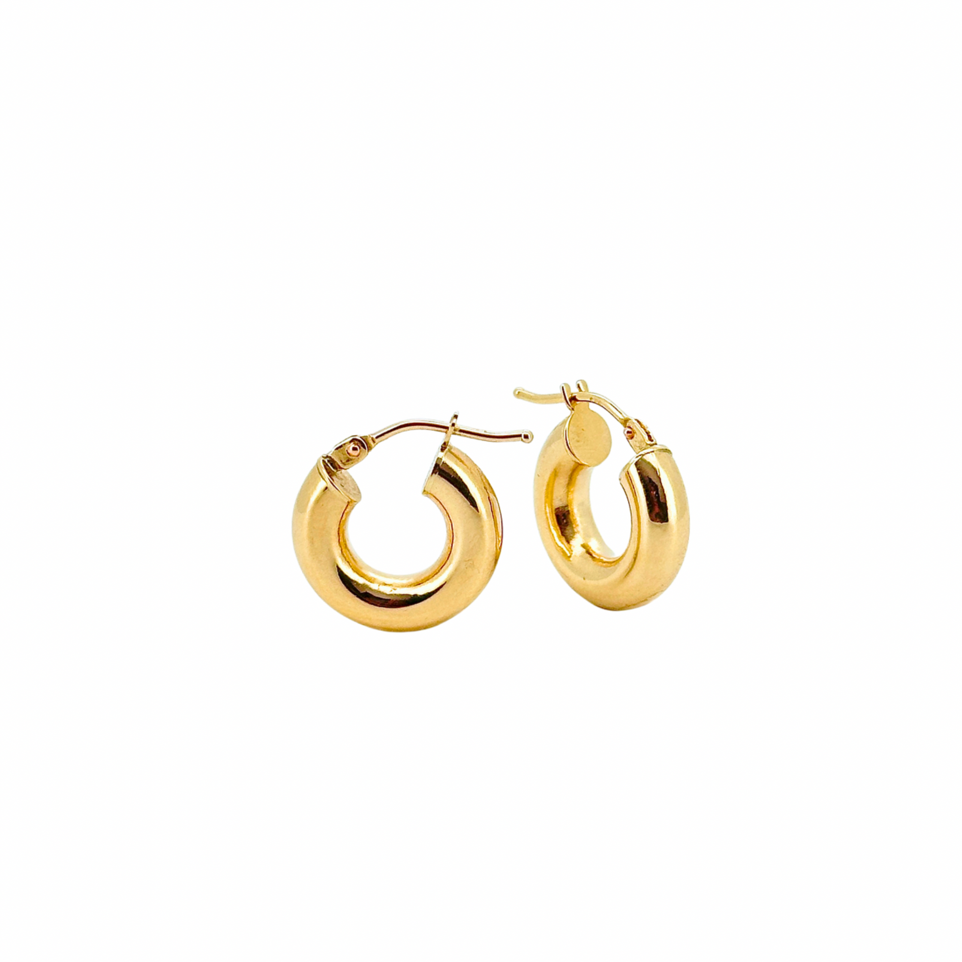 Aura Hoop Earring