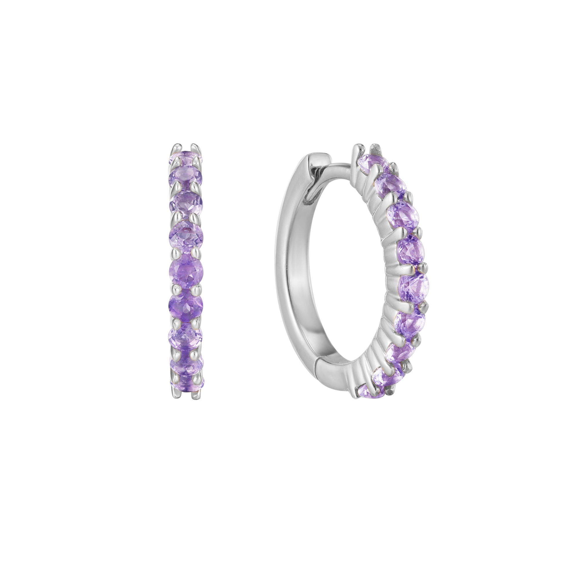 February Birthstone Huggie Earring