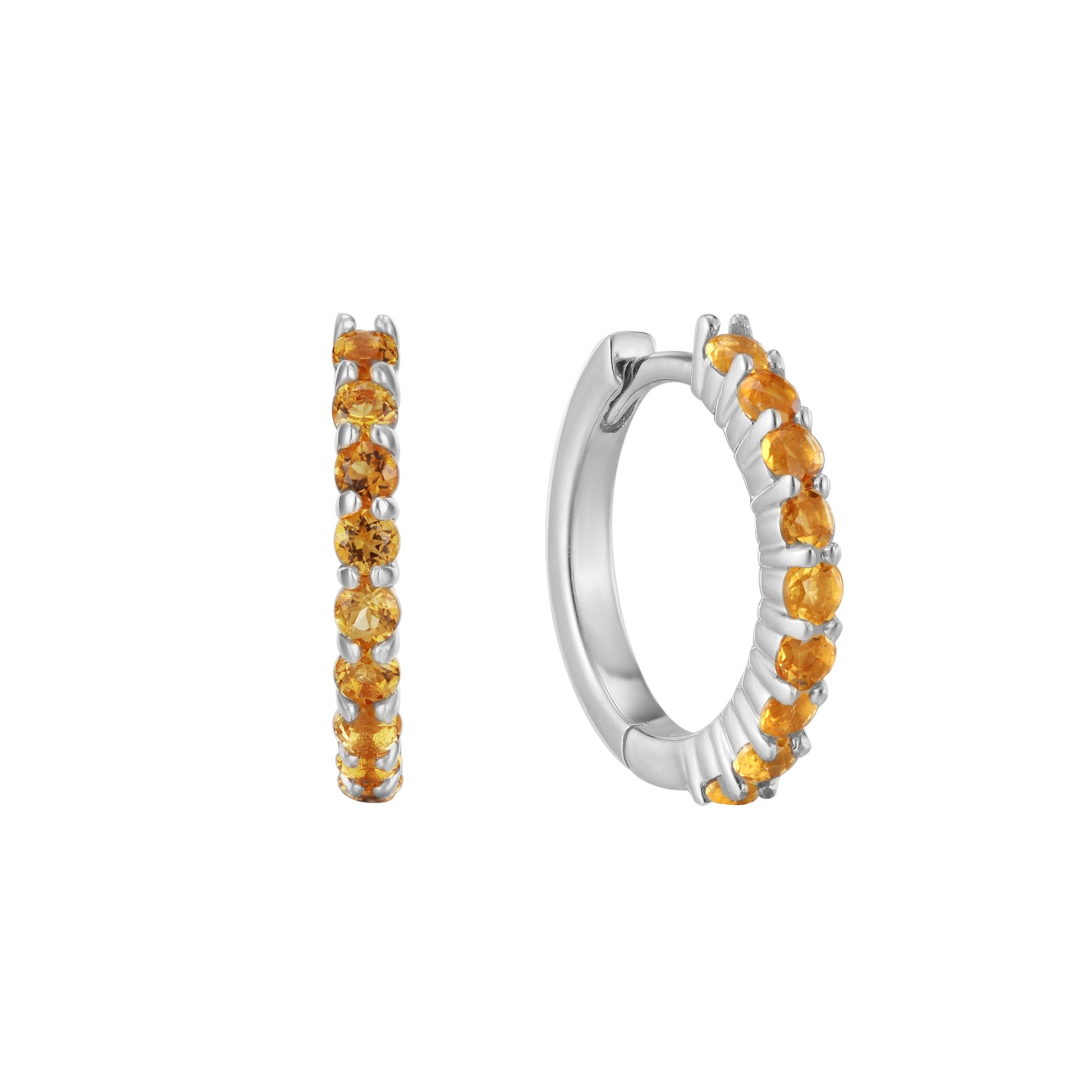 November Birthstone Huggie Earring