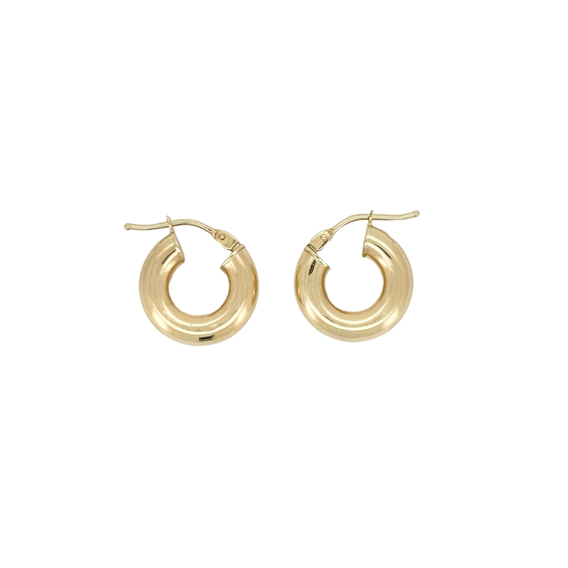Aura Hoop Earring