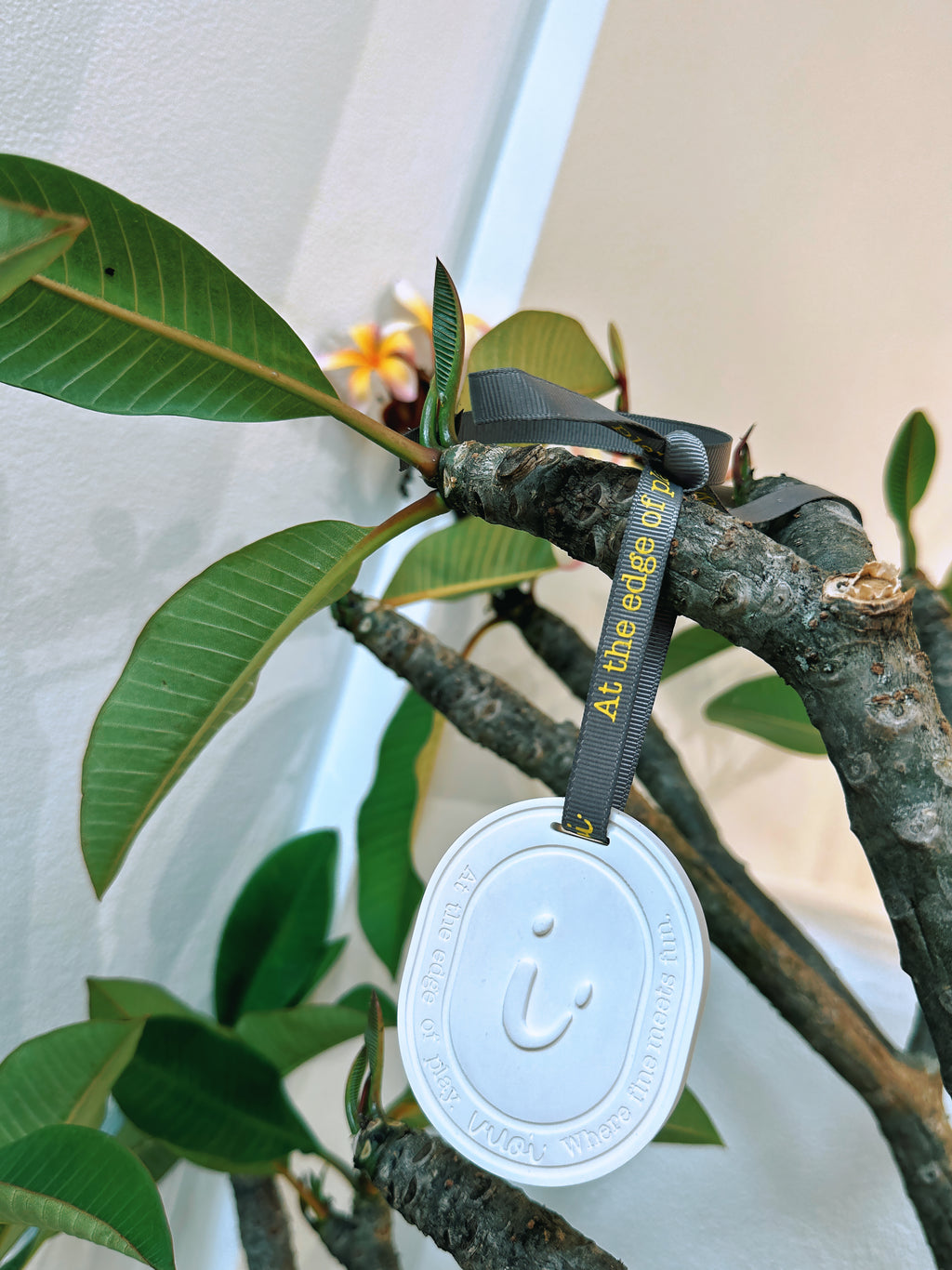 Vuoi Luxe Essential Oil