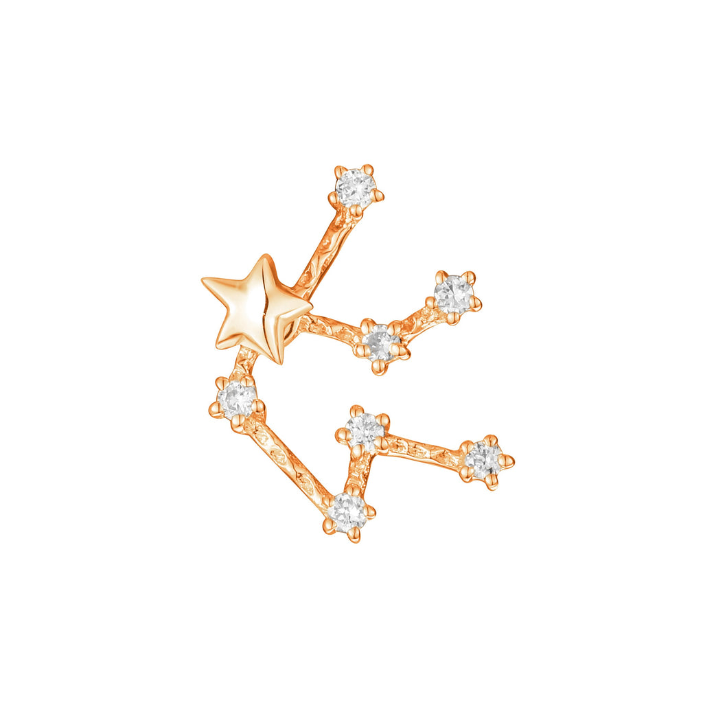 Zodiac Stud Earring - Aquarius