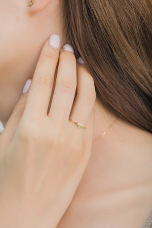 Balance Earth Ring