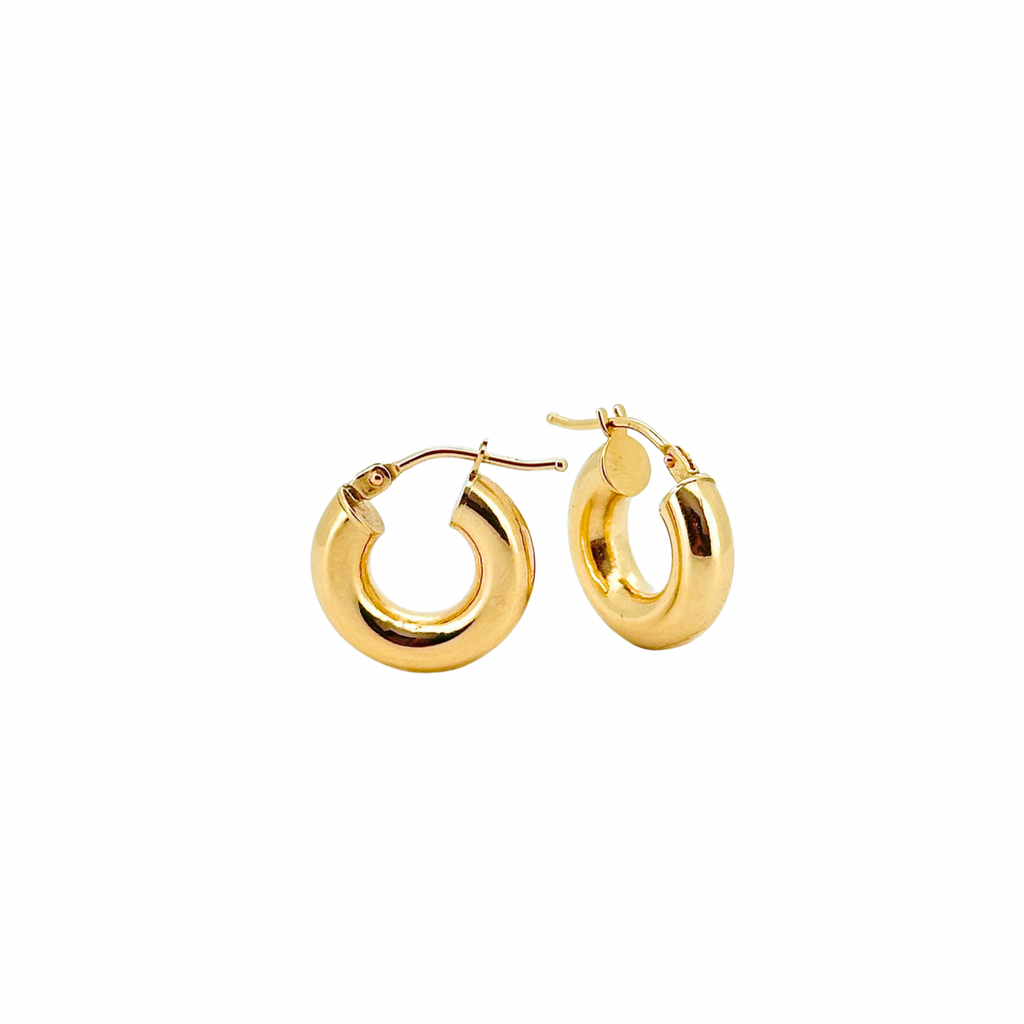 Aura Hoop Earring