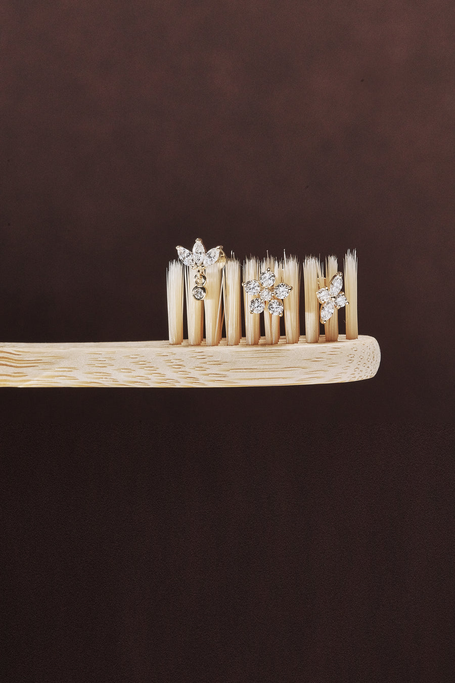 The Layback Collection