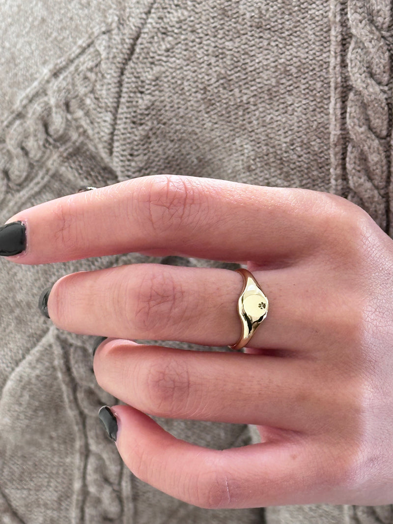 Balance Oval Signet Ring