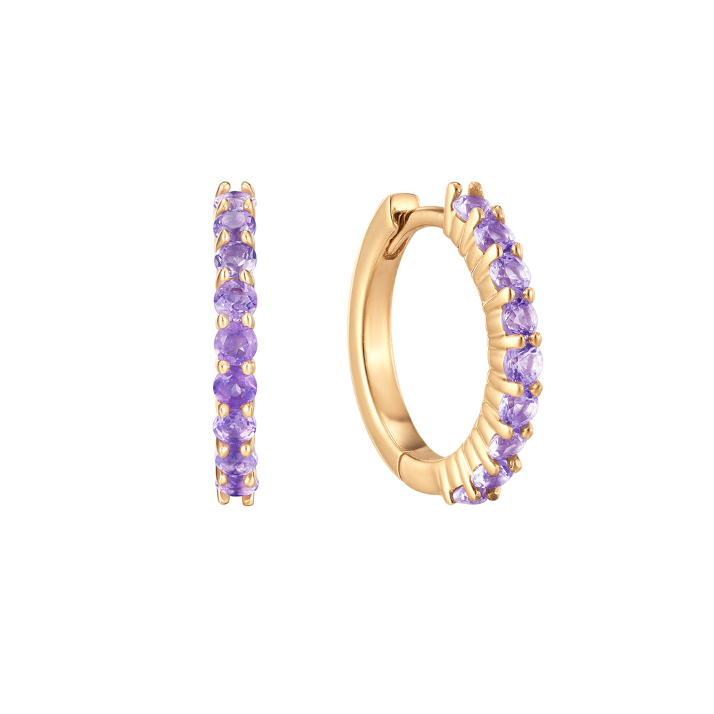 February Birthstone Huggie Earring