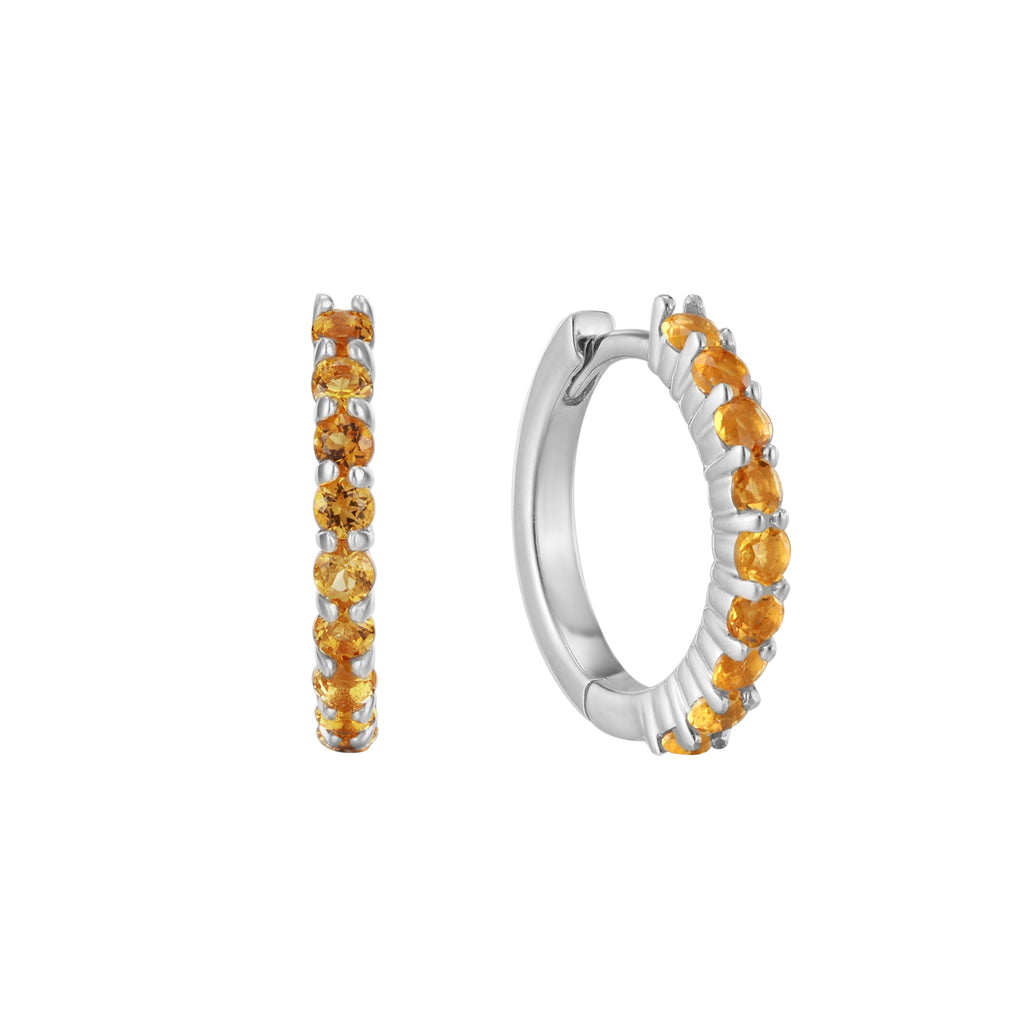 November Birthstone Huggie Earring