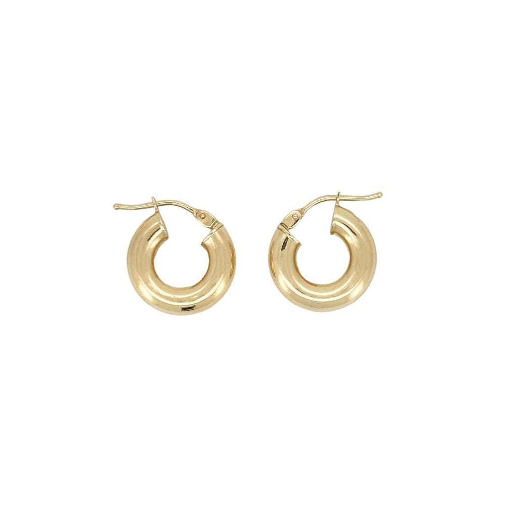 Aura Hoop Earring