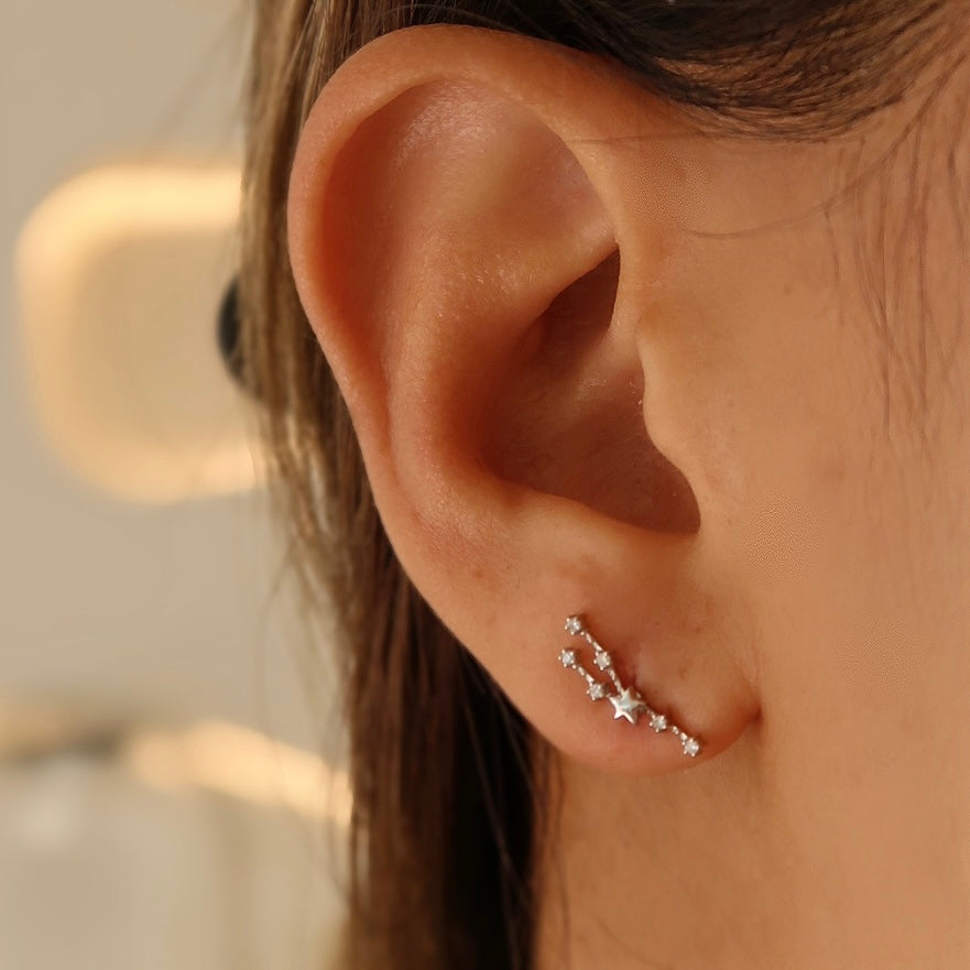 Zodiac Stud Earring - Taurus