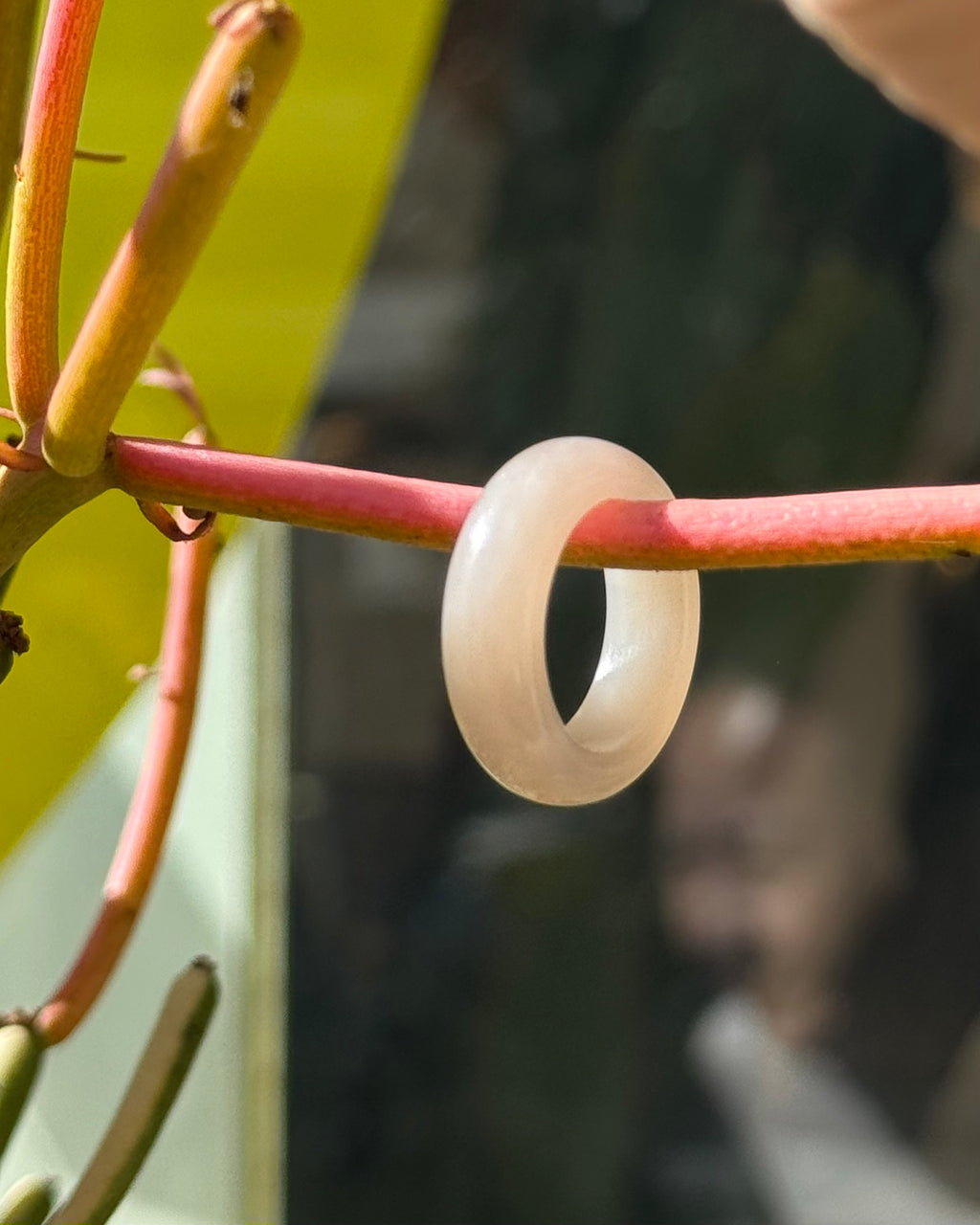 Lait Jade Ring