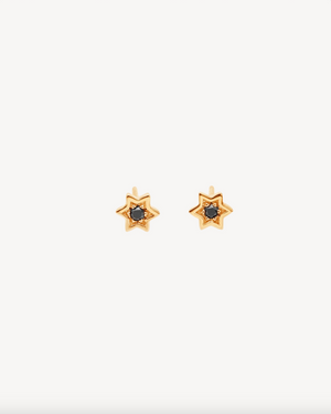 Balance Harmony Star Earring