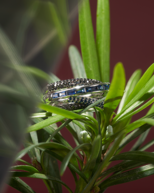 Midnight Ring