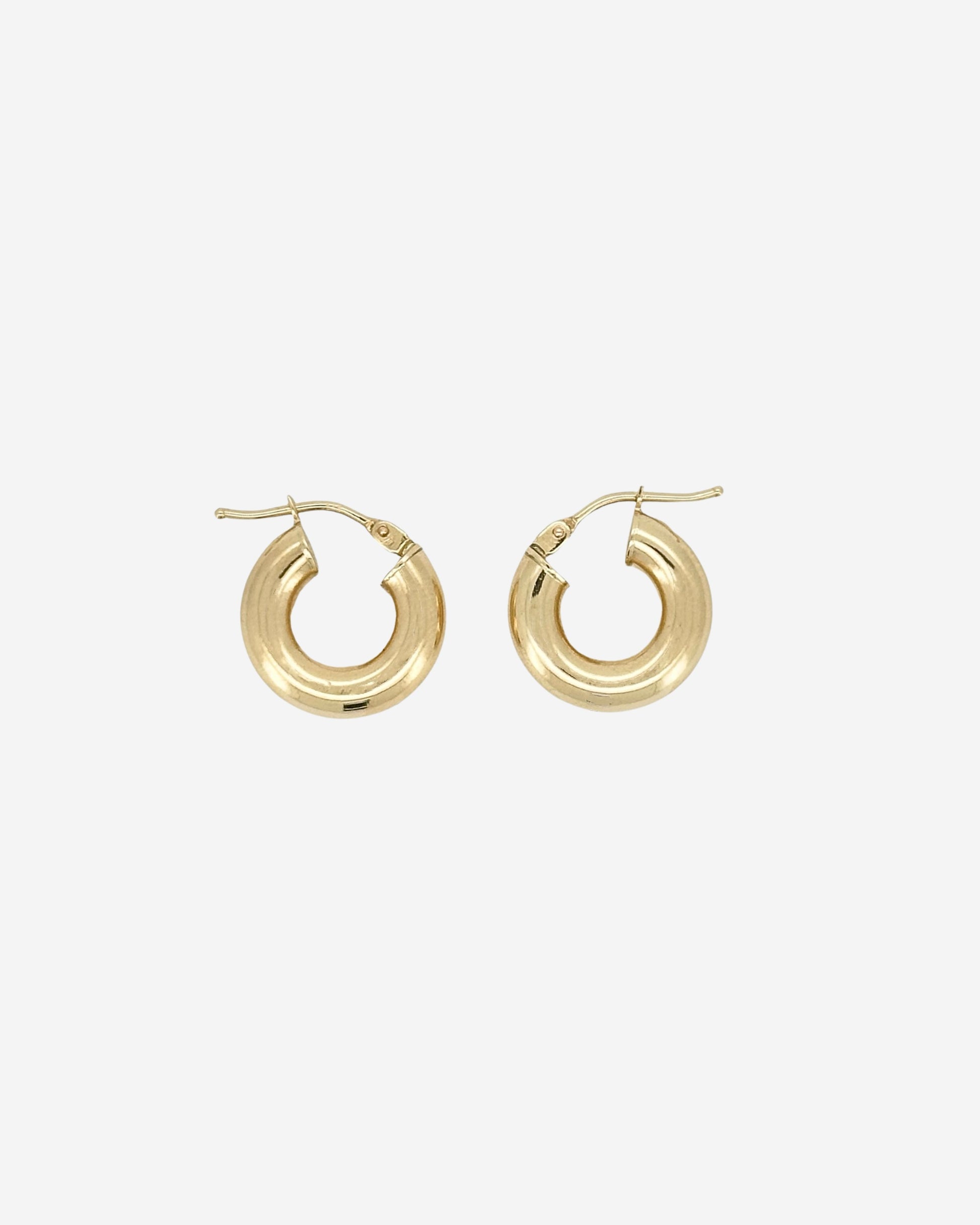 Aura Hoop Earring