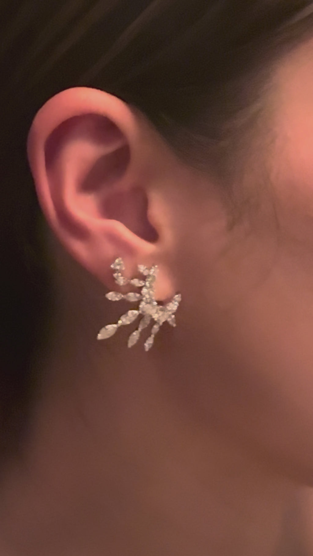 Solaris Climber Earrings